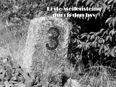 Erste Meilensteine durch den bsv